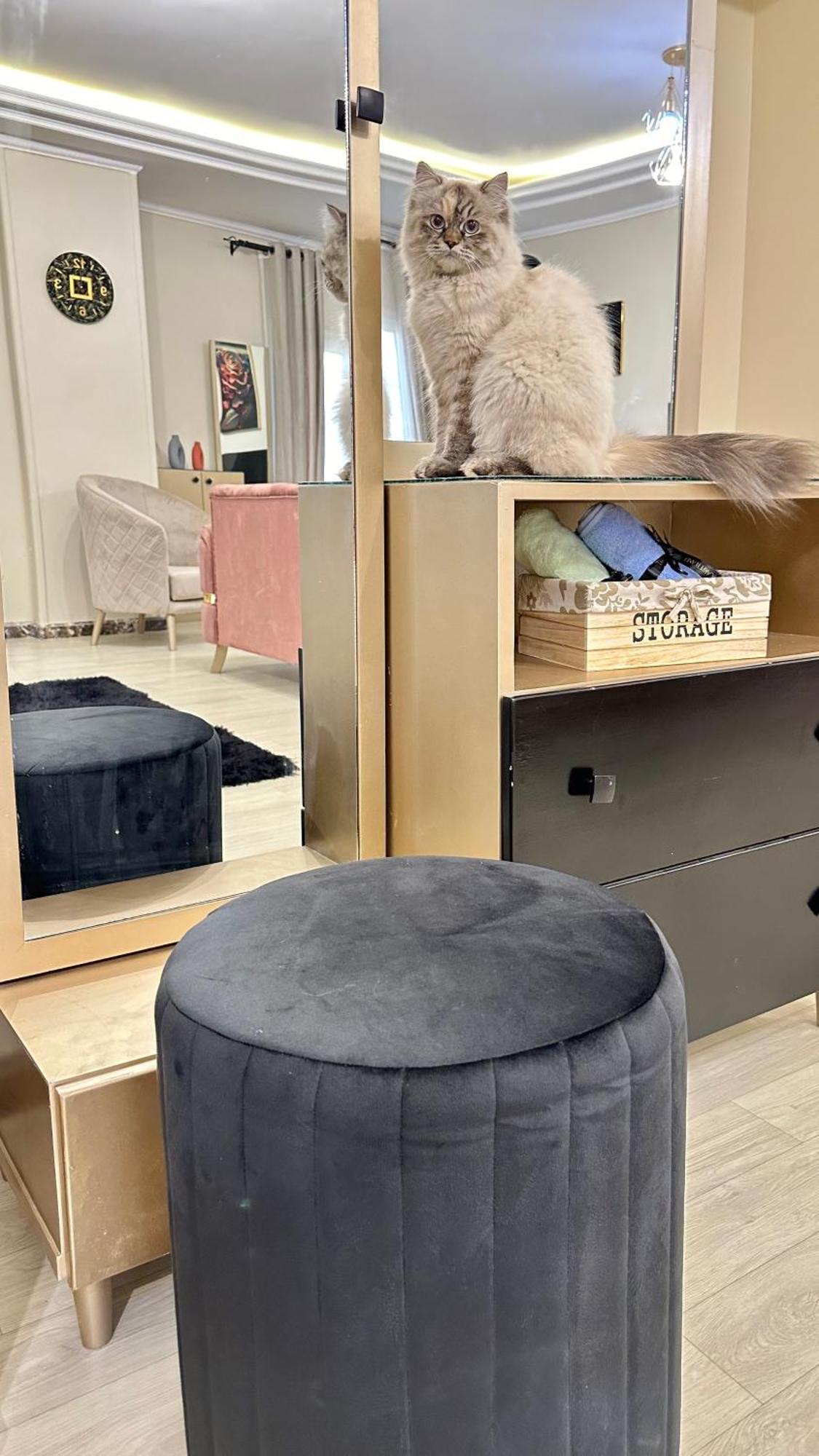 Luxury Private Appartamento